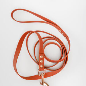 Smycz miejska wodoodporna – Miodowy