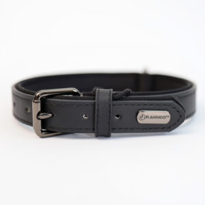 Obroża Flamingo z naturalnej skóry Binti Black